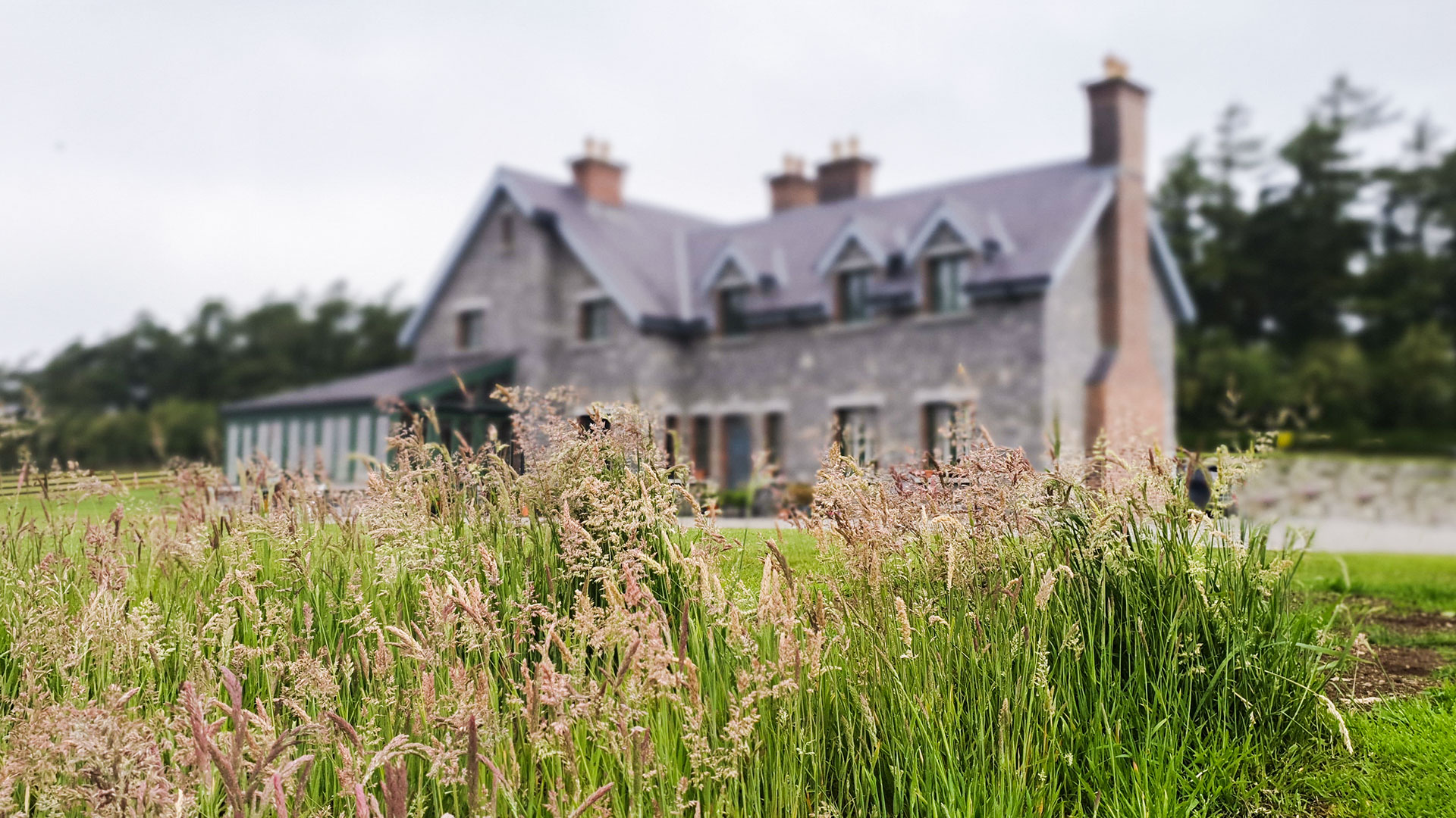 architects design and build residential, house build & extensions, self build, project management service, leinster ireland